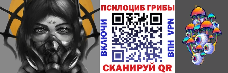 Галлюциногенные грибы Magic Shrooms  закладки  Алзамай 